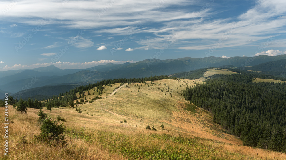 Subalpine meadow at mountains