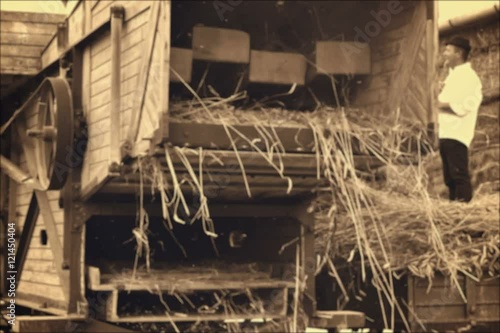 Threshing Machine in operation