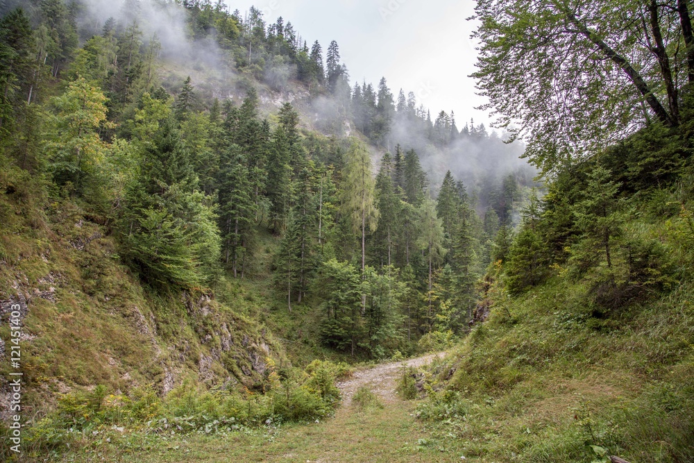 Zireiner See Tirol Wanderung Gebirge Alpen 01