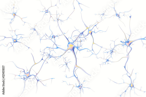 Neurons in the brain on white background with focus effect. 3d rendering photo
