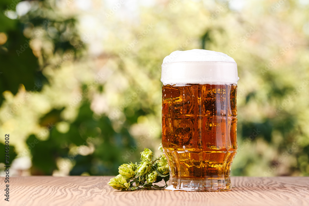 A glass of cold beer with hops outdoors.