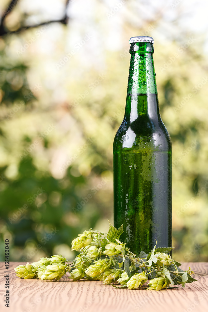 A glass of cold beer with hops outdoors.