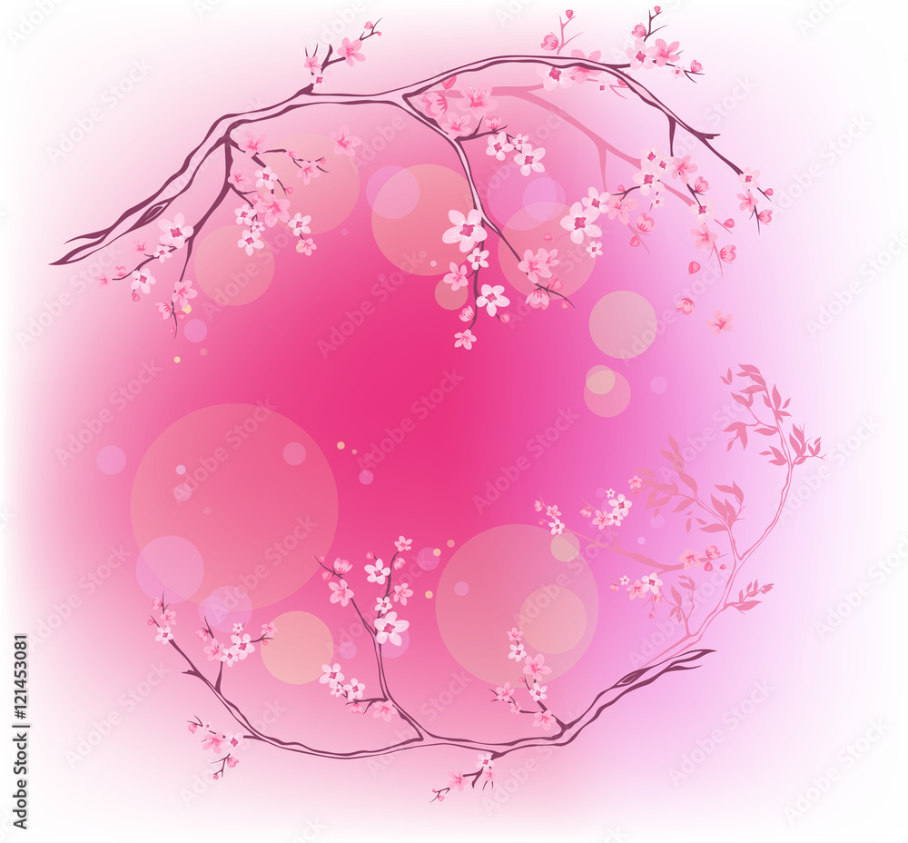 Fototapeta premium Spring background with blooming sakura branches