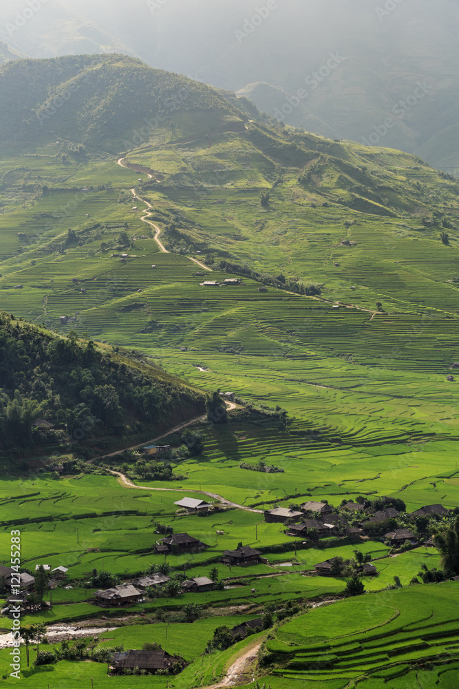 Rice fields on terraced of Tu Le, YenBai, Vietnam Rice fields on terraced of Tu Le, YenBai, Vietnam