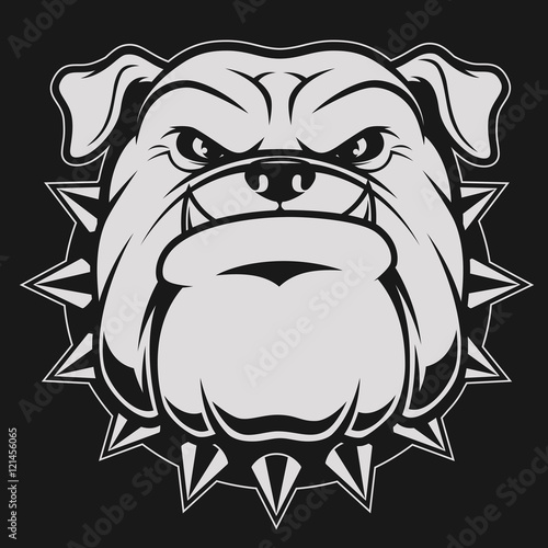 Head ferocious bulldog
