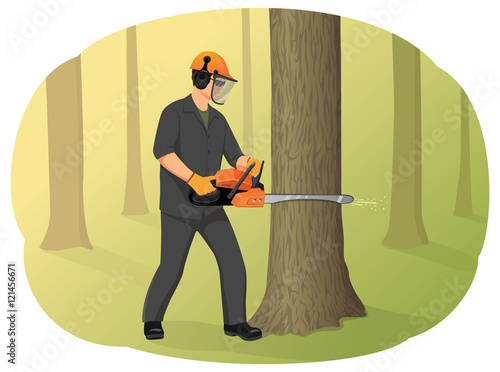 Logger in helmet cutting tree trunk with chainsaw. Timber harvesting. Natural forest restoration.