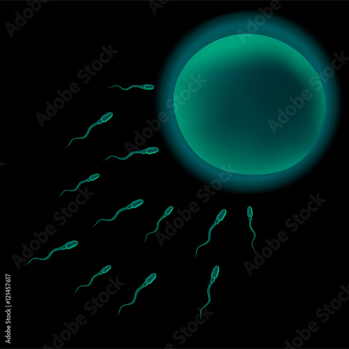 Spermatozoons sperm and ovum egg . In vitro fertilization IVF . Artificial insemination. Illustration for web or typography magazine, brochure, flyer, poster .
