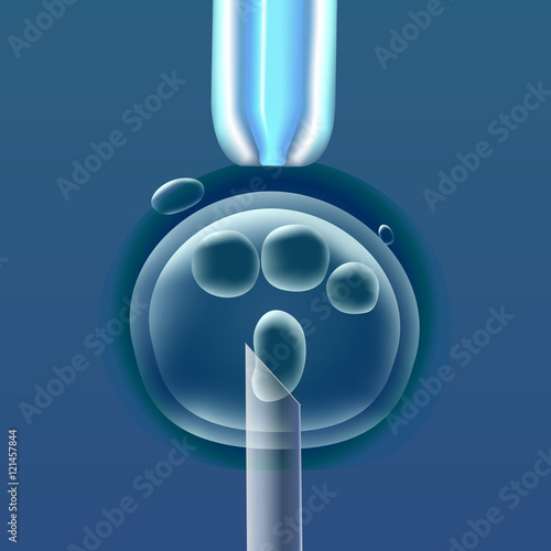 In vitro fertilization IVF , the egg ovum , pipette and pipe vertical, reproduction in humans illustration for an article, site or typography magazine, brochure, flyer, poster , blue