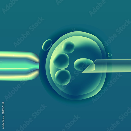 In vitro fertilization IVF , the egg ovum , pipette and pipe horizontal, reproduction in humans illustration for an article, site or typography magazine, brochure, flyer, poster , colorful.