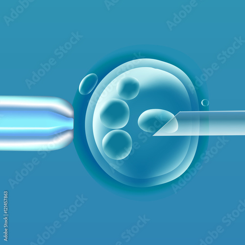 In vitro fertilization IVF , the egg ovum , pipette and pipe horizontal, reproduction in humans illustration for an article, site or typography magazine, brochure, flyer, poster , light blue.