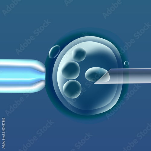 In vitro fertilization, the egg ovum , pipette and pipe horizontal, reproduction in humans illustration for an article, site or typography magazine, brochure, flyer, poster , blue color.