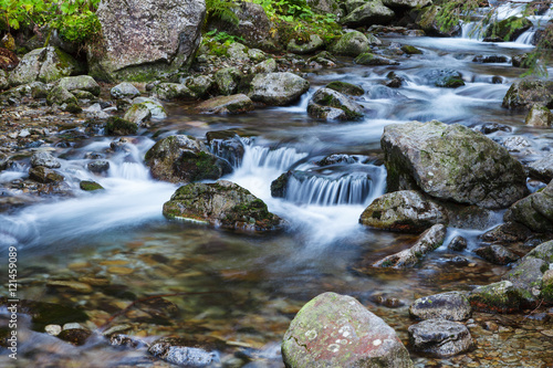 Mountain brook flowing around stones