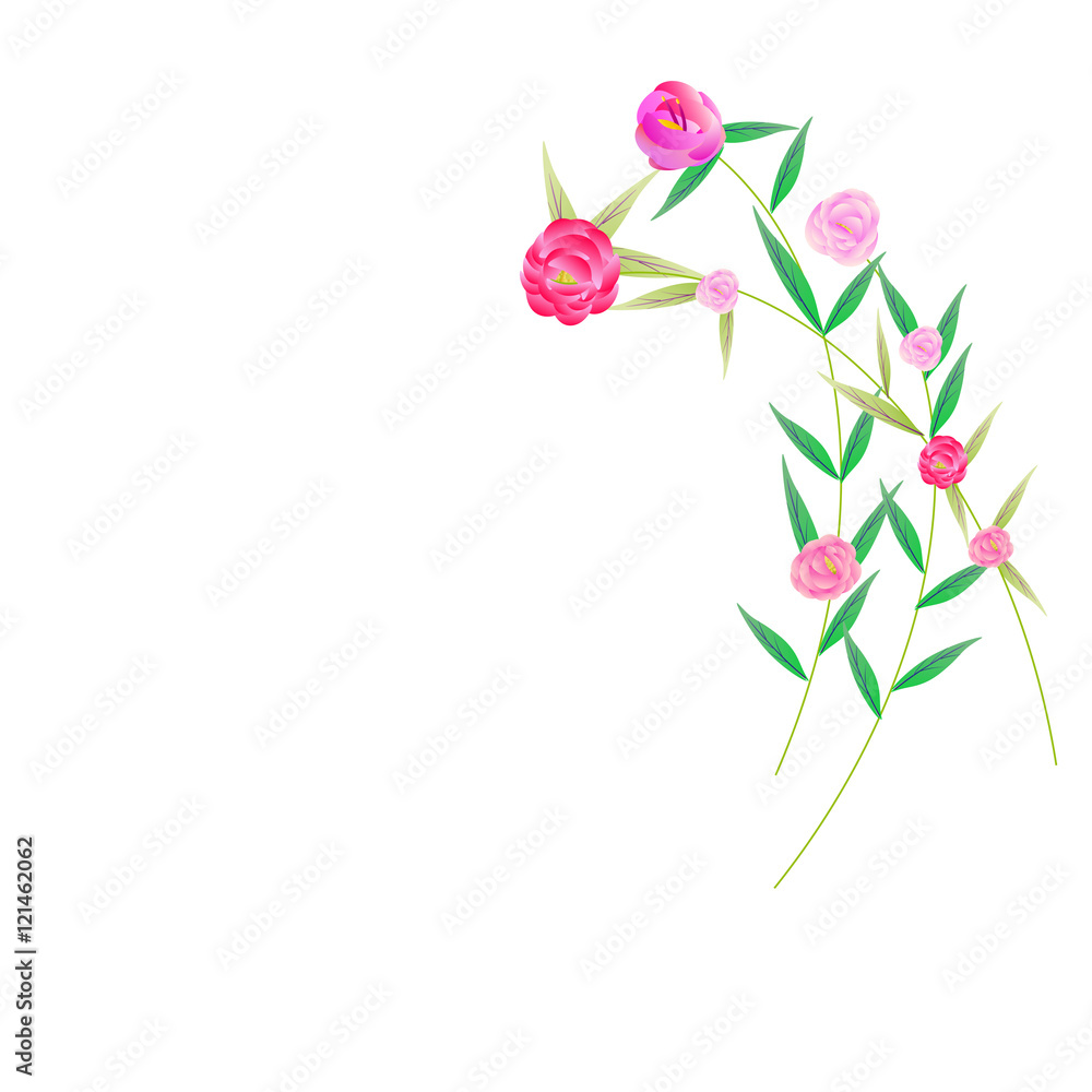 Fototapeta premium flowers
