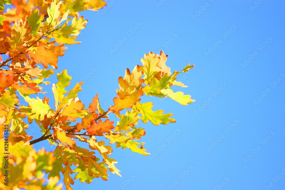 First day of fall First day of fall