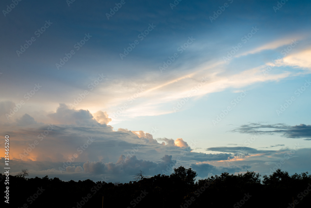 Nature background. Nature background.