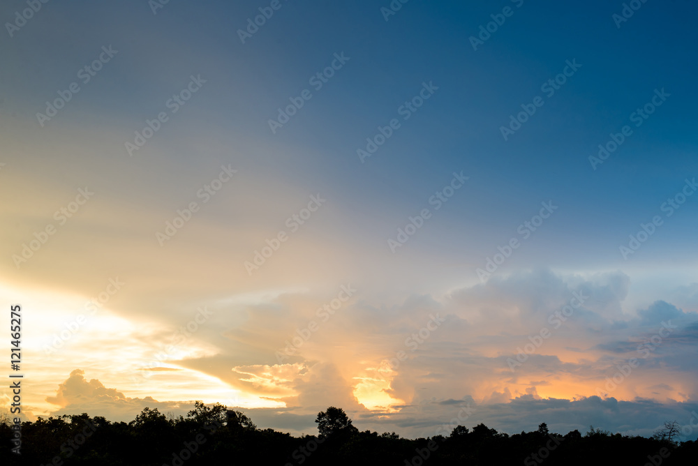 Obraz premium Nature background.