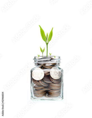 Mix coins with seed in clear bottle on white background,Business investment growth concept,saving concept