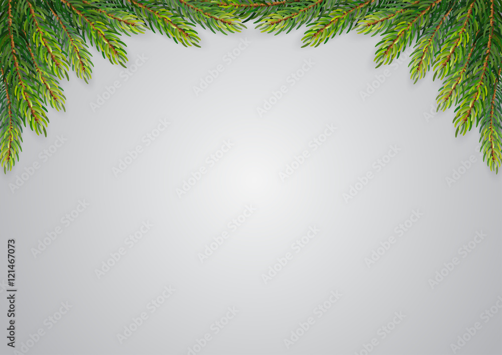 Christmas background with fir branches