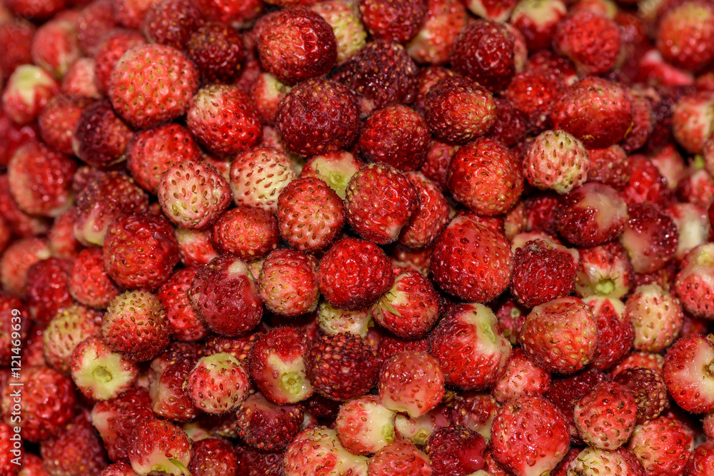 strawberries berry wild bunch strawberries berry wild bunch