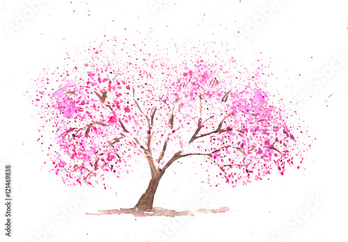 Pink cherry tree on white, watercolor painting