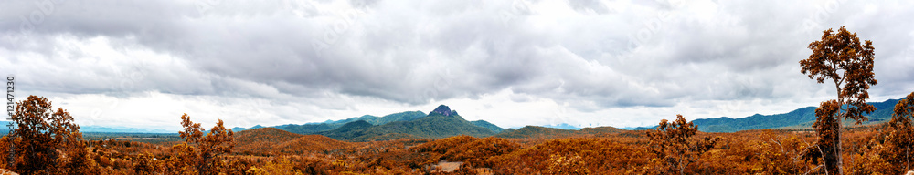 Panorama of mountains and forest Panorama of mountains and forest