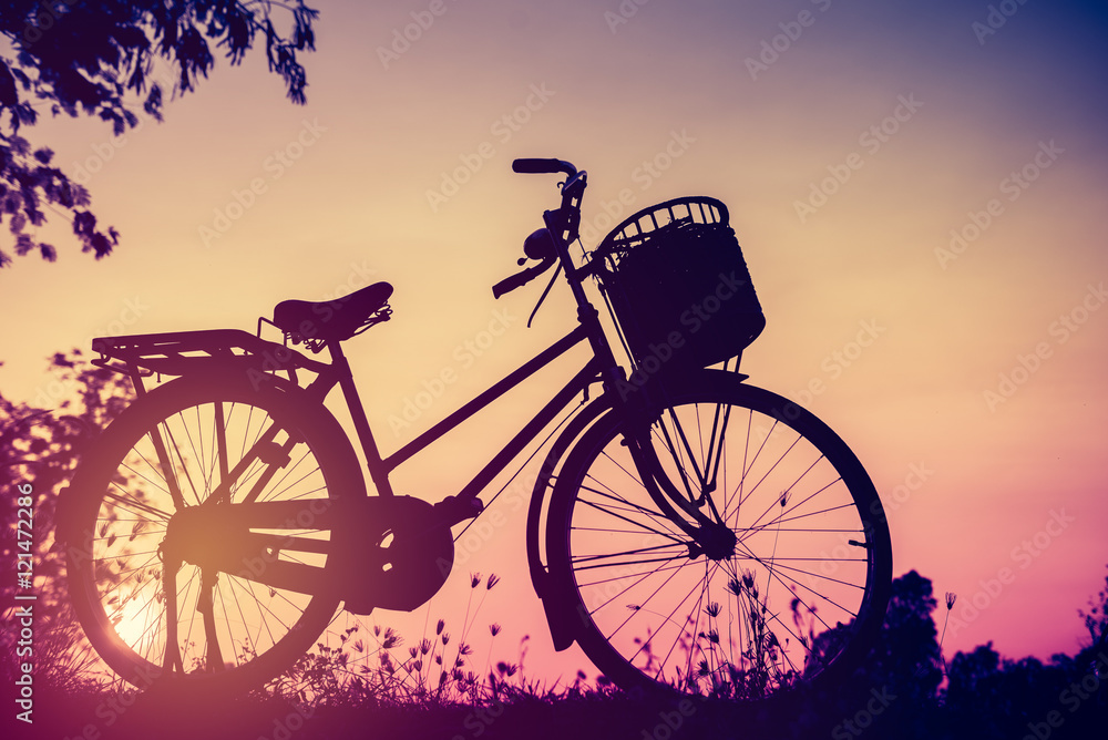 Landscape picture Vintage Bicycle with Summer grass field at sun