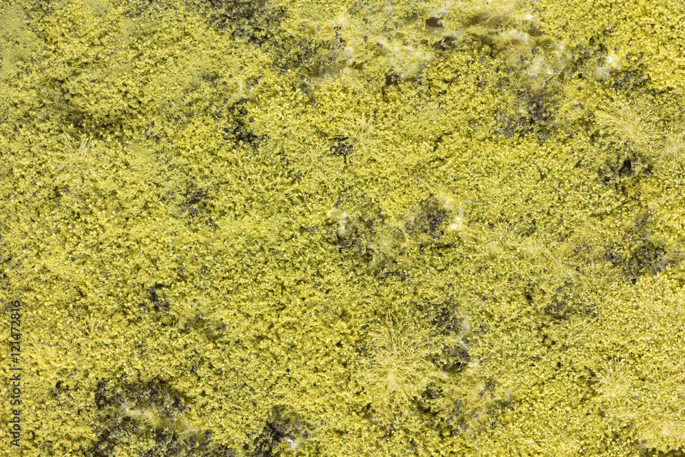 close up mold on bread close up mold on bread
