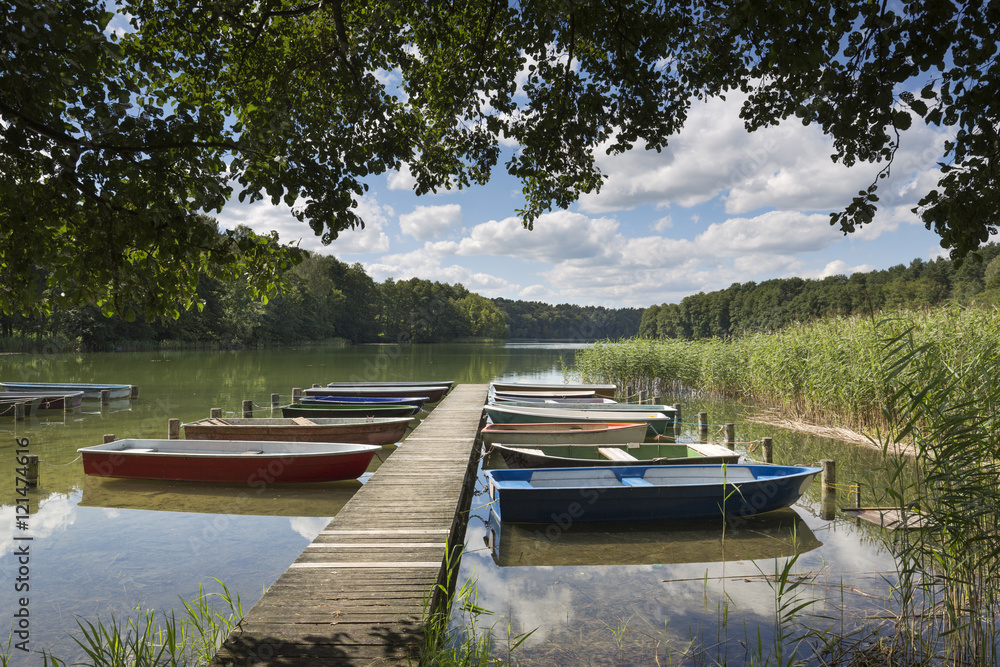 Naklejka premium Am Roofensee in der Uckermark, Deutschland