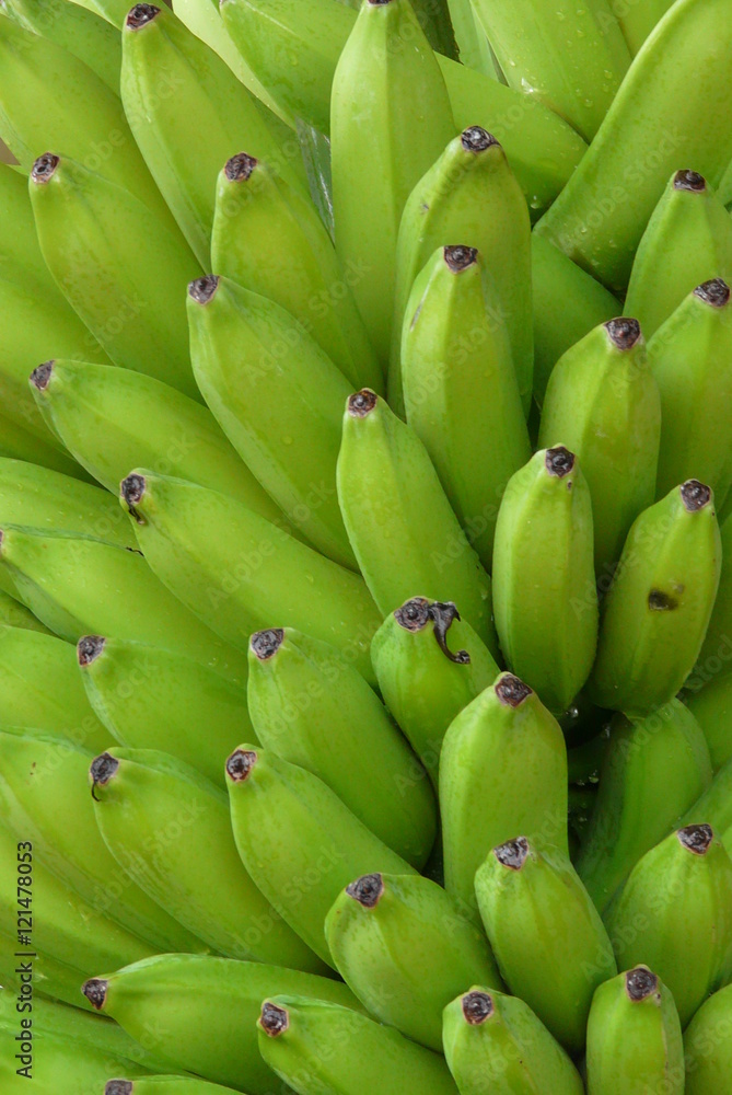 banana banana