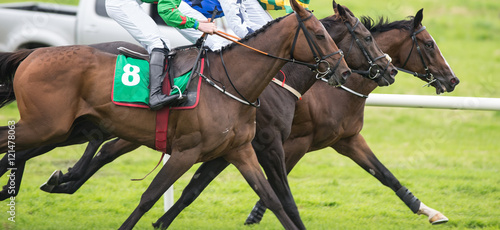 Three horses neck and neck competing on the track
