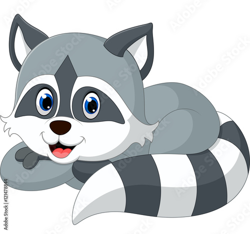 baby raccoon cartoon