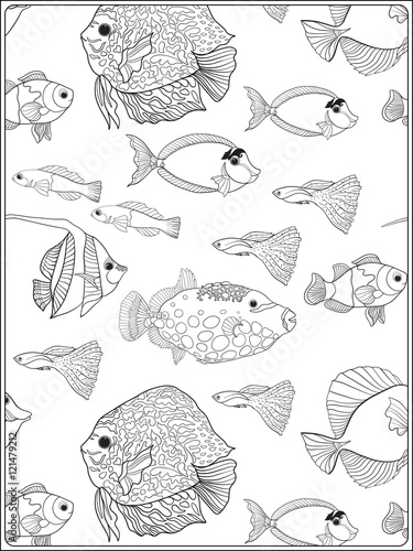 Pattern with decorative corals and sea or aquarium fish. Anti stress coloring book for adult. Outline drawing coloring page.