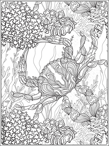 Pattern with decorative corals and sea or aquarium fish. Anti stress coloring book for adult. Outline drawing coloring page.