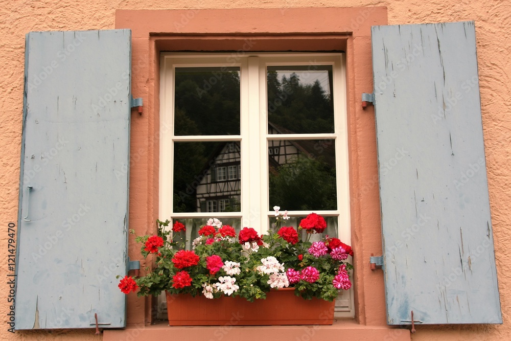 nice window with blue shutters on a pink wall