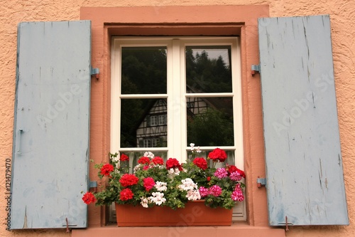 nice window with blue shutters on a pink wall
