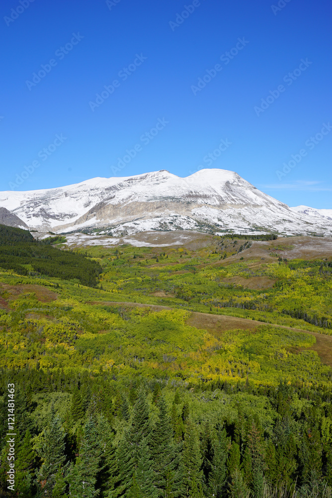 Glacier National Park - Summer Snow Capped Mountains_Vertical