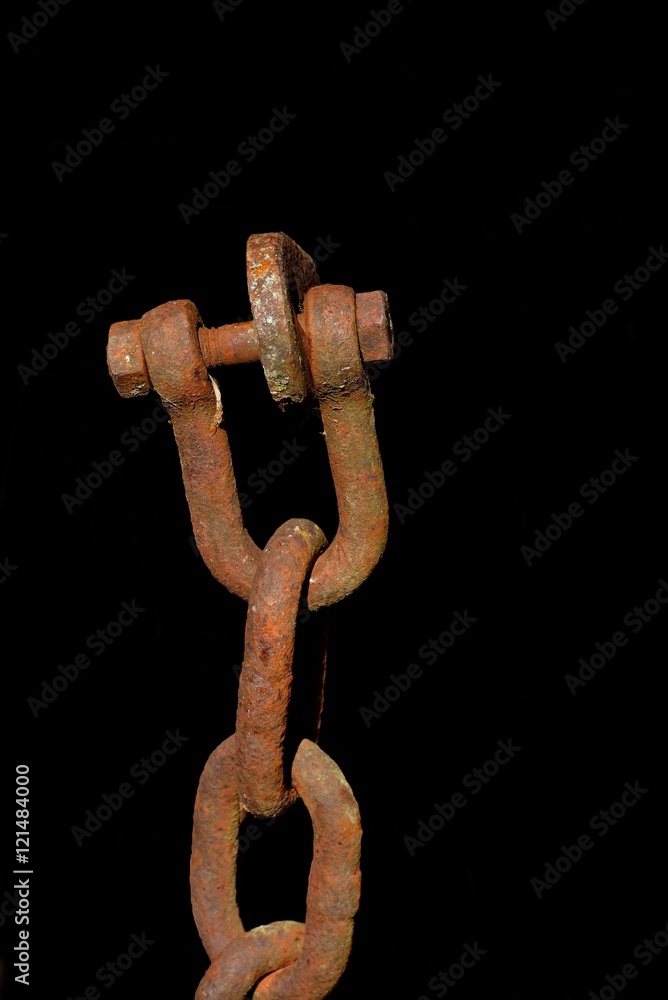 Obraz premium catena con grillo