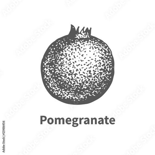 Vector illustration hand-drawn pomegranate