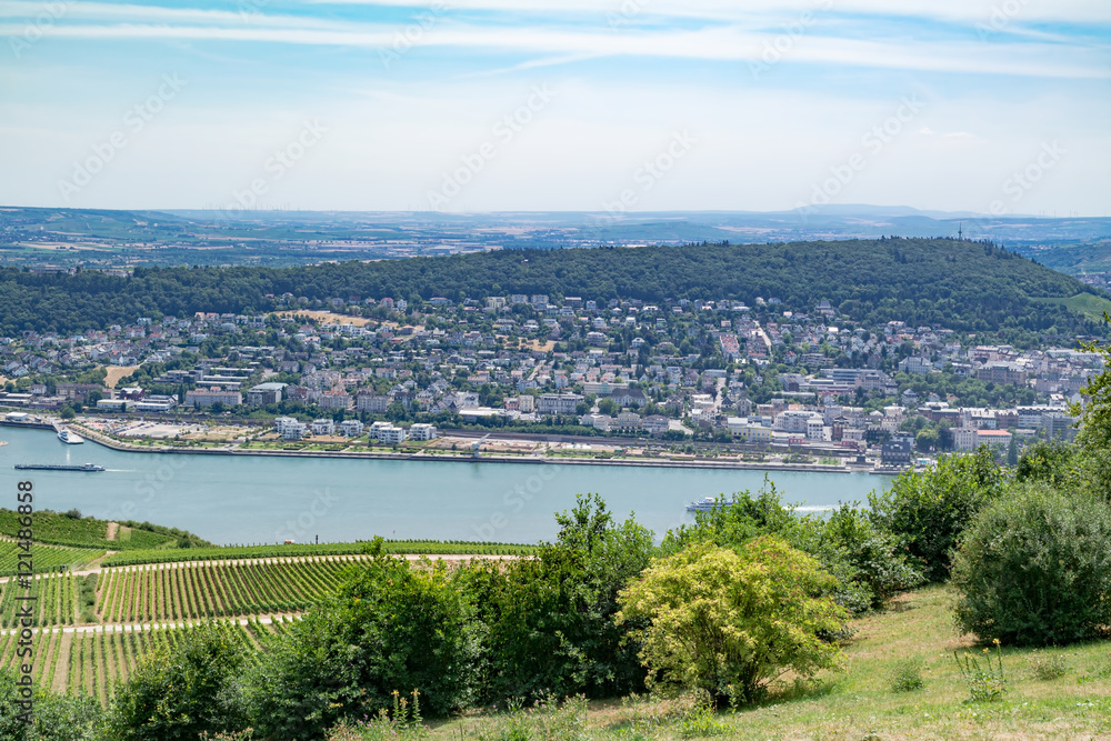 Landscape of the Rhine valley with vineyards, river, towns and hills - view from the Niederwald monument / memorial on a summer sunny day