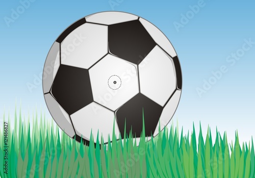 soccerball on fresh green grass under blue sky   vector editable 