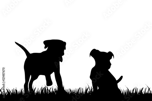 Vector illustration of dog.