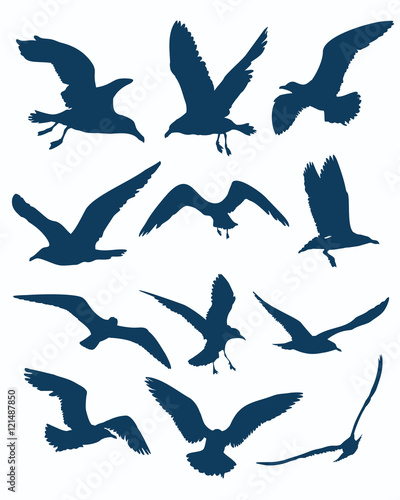 vector seagull silhouettes