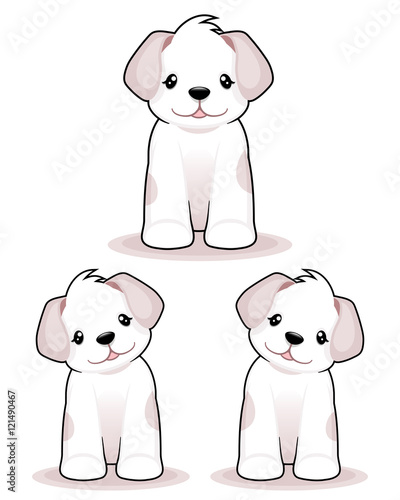 puppy /little cute dog