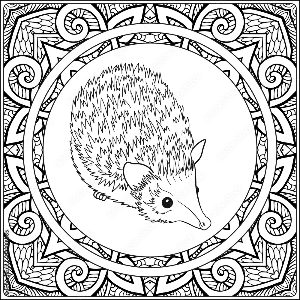 Coloring page with lovely hedgehog in decorative frame. Stock Vector