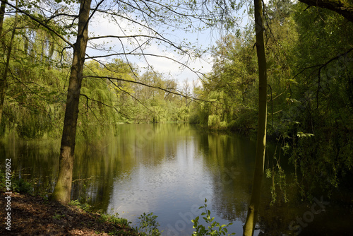 Fototapeta Naklejka Na Ścianę i Meble -  Sommerlicher See im Wald