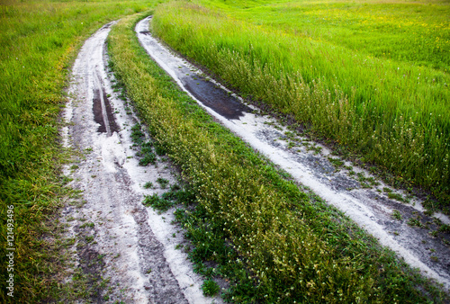 Dirt road in the green field.