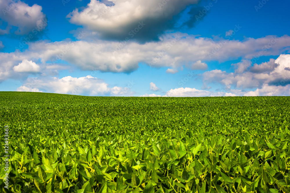 Farm fields in rural Baltimore County, Maryland.