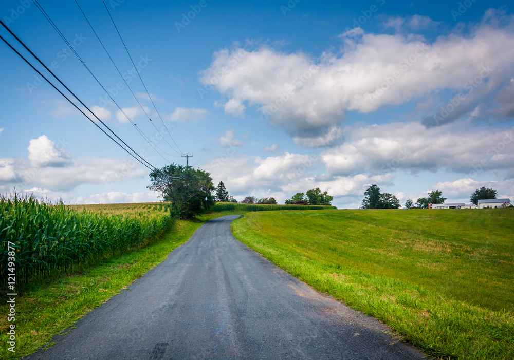 Fototapeta premium Road in rural Baltimore County, Maryland.