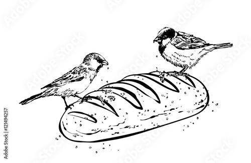 illustration of the sparrows and bread