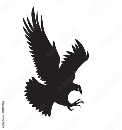 illustration silhouette of a bird of prey